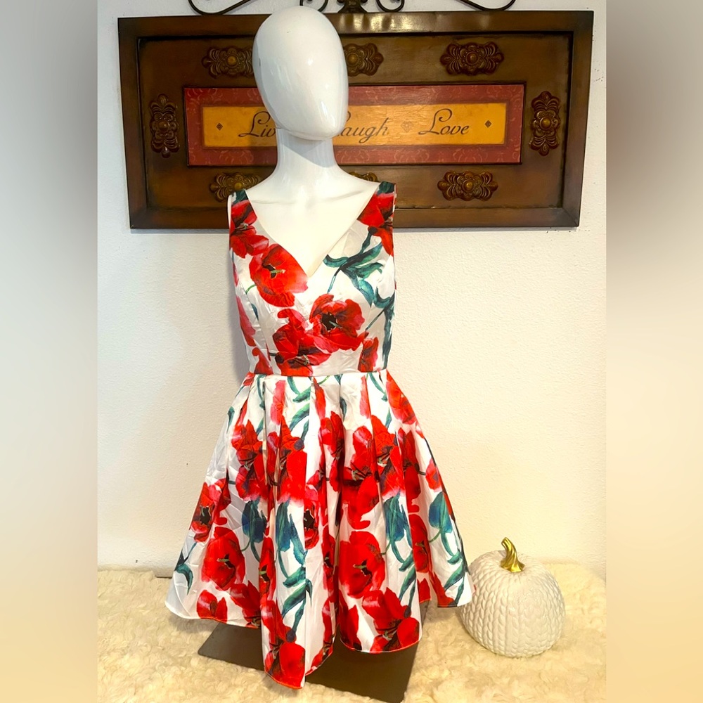Narianna dress nwot